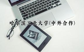 重庆考生多少分能上哈尔滨工业大学(中外合作)？2025最低618分