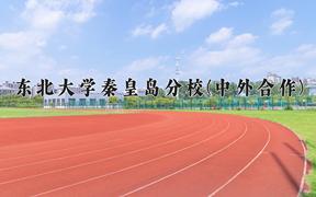 重庆考生多少分能上东北大学秦皇岛分校(中外合作)？2025最低599分