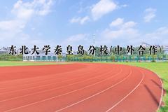 重庆考生多少分能上东北大学秦皇岛分校(中外合作)？2025最低599分