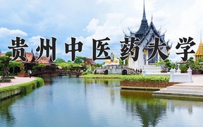 重庆考生多少分能上贵州中医药大学？2025最低534分