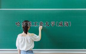 重庆考生多少分能上哈尔滨工业大学(威海)？2025最低659分