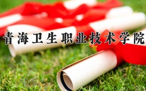 重庆考生多少分能上青海卫生职业技术学院？2025最低375分