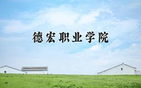 重庆考生多少分能上德宏职业学院？2025最低374分