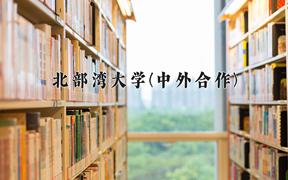 重庆考生多少分能上北部湾大学(中外合作)？2025最低475分