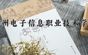 重庆考生多少分能上贵州电子信息职业技术学院？2025最低374分