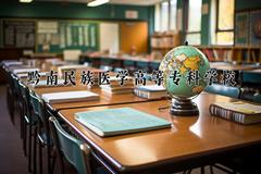 重庆考生多少分能上黔南民族医学高等专科学校？2025最低376分