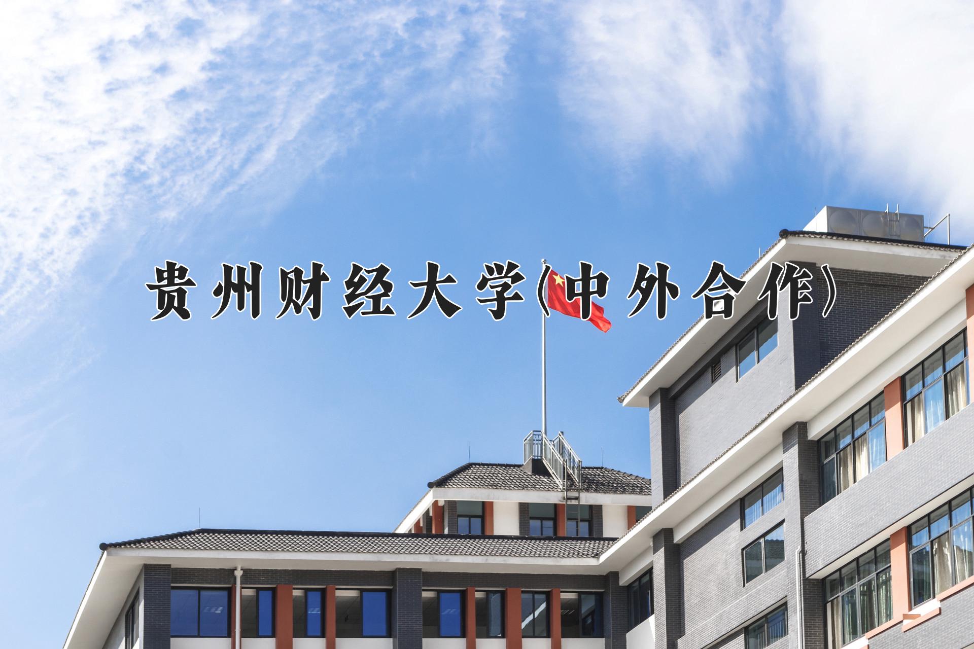 贵州财经大学(中外合作)