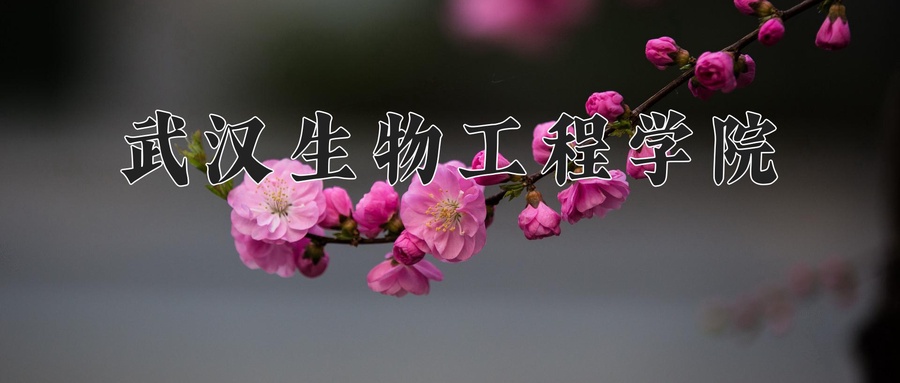 武汉生物工程学院
