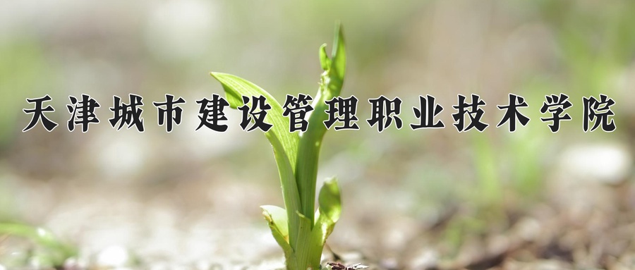 江苏385分能上什么好大学？附2025年可以报考的大学名单-第1张图片-索考网