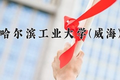 2024哈尔滨工业大学(威海)录取分数线及位次一览：新疆考生2025填报参考