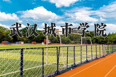 2024武汉城市学院录取分数线及位次一览：新疆考生2025填报参考