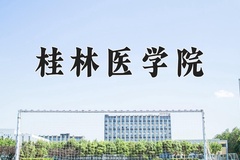 2024桂林医学院录取分数线及位次一览：新疆考生2025填报参考