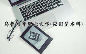 2024乌鲁木齐职业大学(应用型本科)录取分数线及位次一览：新疆考生2025填报参考