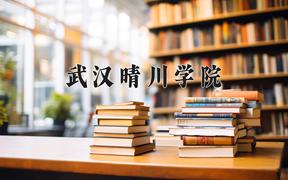 2024武汉晴川学院录取分数线及位次一览：新疆考生2025填报参考