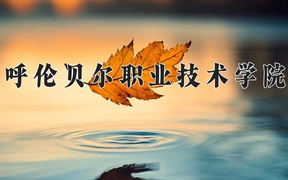 2024呼倫貝爾職業(yè)技術(shù)學(xué)院錄取分?jǐn)?shù)線及位次一覽：新疆考生2025填報(bào)參考