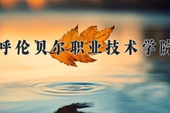 2024呼伦贝尔职业技术学院录取分数线及位次一览：新疆考生2025填报参考