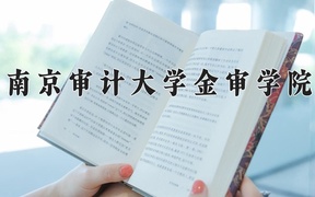 2024南京审计大学金审学院录取分数线及位次一览：新疆考生2025填报参考