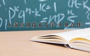 2024上海应用技术大学(中外合作)录取分数线及位次一览：新疆考生2025填报参考