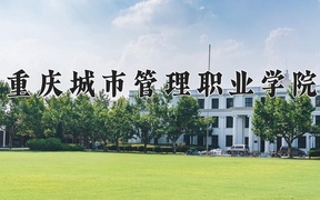 2024重庆城市管理职业学院录取分数线及位次一览：新疆考生2025填报参考