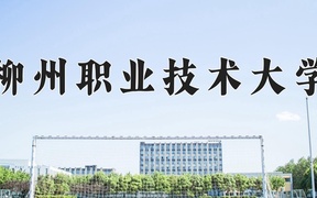 2024柳州职业技术大学录取分数线及位次一览：新疆考生2025填报参考