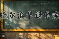 2024哈尔滨华德学院录取分数线及位次一览：新疆考生2025填报参考
