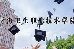 2024青海卫生职业技术学院录取分数线，陕西最低358分