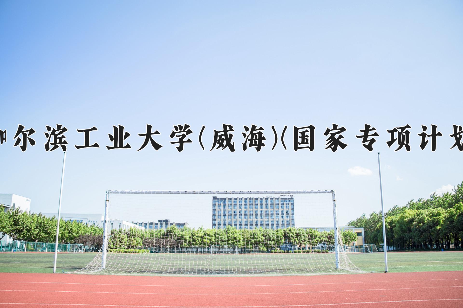 哈尔滨工业大学(威海)(国家专项计划)