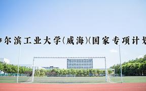 2024哈尔滨工业大学(威海)(国家专项计划)录取分数线，陕西最低605分