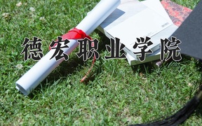 2024德宏职业学院录取分数线，四川最低429分