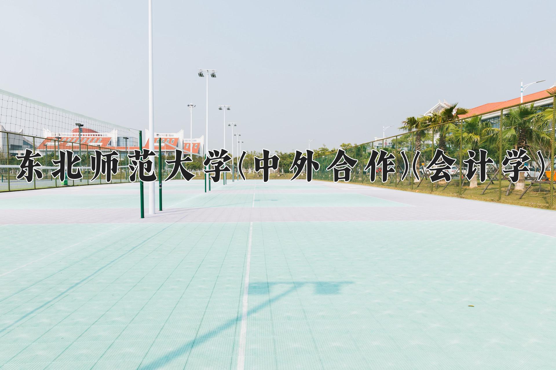 东北师范大学(中外合作)(会计学)