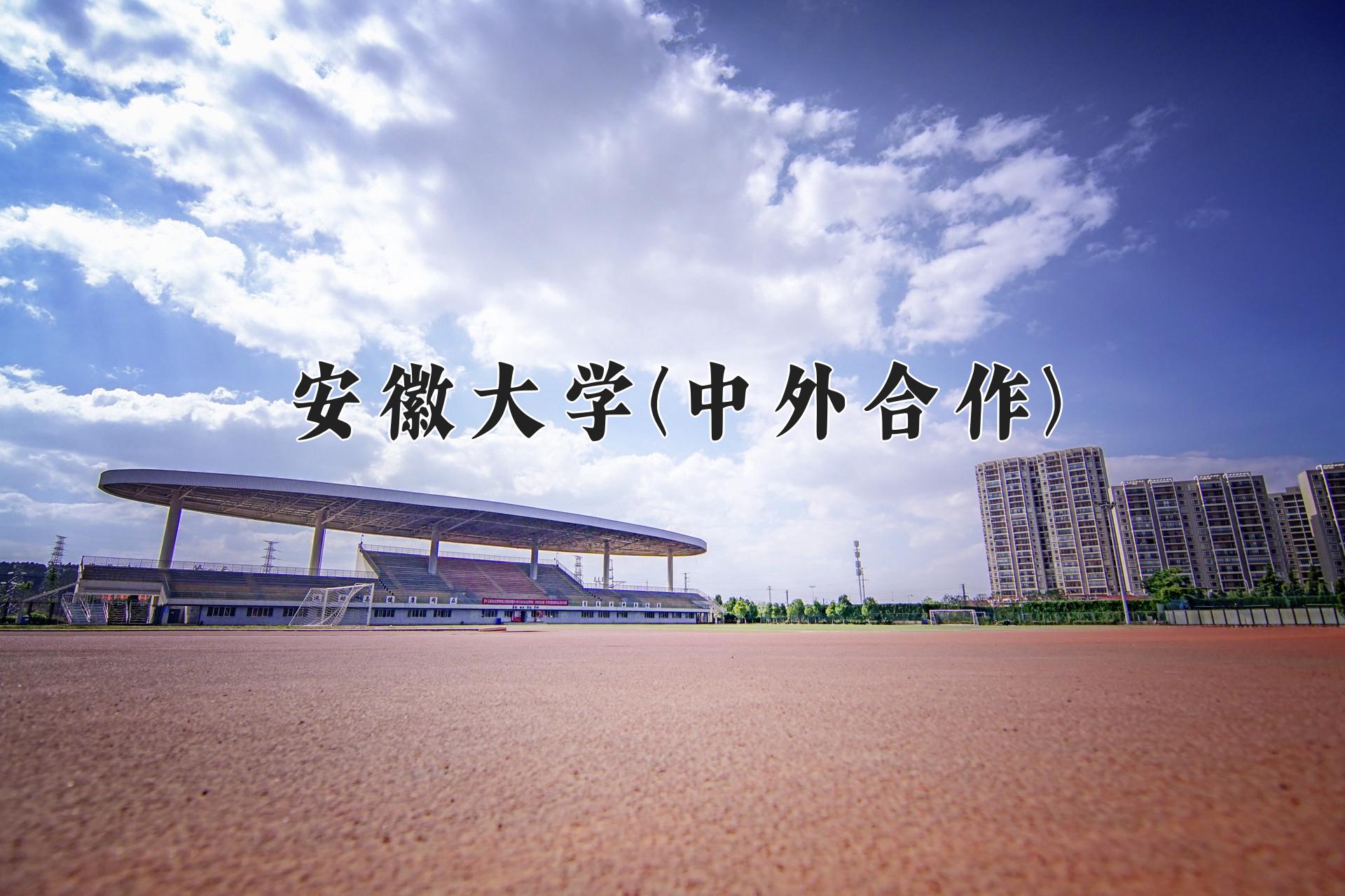 安徽大学(中外合作)