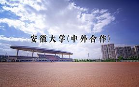 2024安徽大学(中外合作)录取分数线，四川最低593分