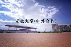 2024安徽大学(中外合作)录取分数线，四川最低593分