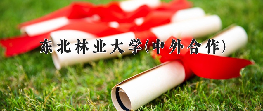 东北林业大学(中外合作)