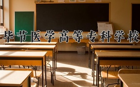 2024毕节医学高等专科学校录取分数线，四川最低437分