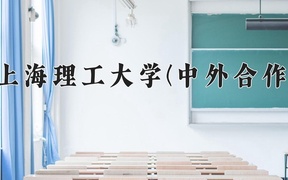 2024上海理工大学(中外合作)录取分数线，四川最低548分