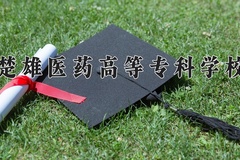 2024楚雄医药高等专科学校录取分数线，陕西最低351分