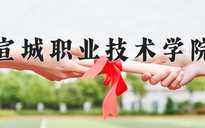 2024宣城职业技术学院录取分数线，陕西最低270分