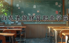 2024山东圣翰财贸职业学院录取分数线，四川最低150分