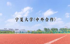 2024宁夏大学(中外合作)录取分数线，四川最低550分