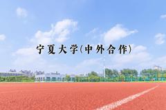 2024宁夏大学(中外合作)录取分数线，四川最低550分