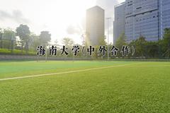 2024海南大学(中外合作)录取分数线，四川最低529分