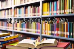 2024沈阳大学(中外合作)录取分数线，四川最低517分