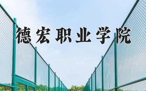 2024德宏职业学院录取分数线，陕西最低387分