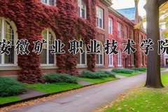 2024安徽矿业职业技术学院录取分数线，四川最低150分
