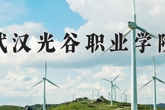 2024武汉光谷职业学院录取分数线，四川最低150分