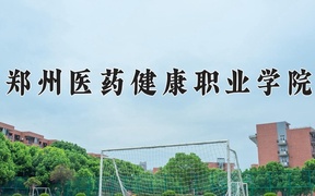 2024郑州医药健康职业学院录取分数线，陕西最低316分