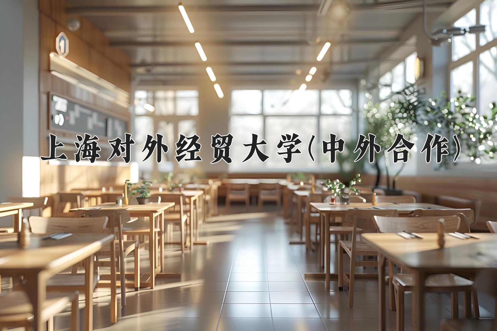 上海对外经贸大学(中外合作)