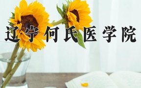 2024辽宁何氏医学院录取分数线，陕西最低418分