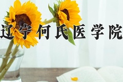 2024辽宁何氏医学院录取分数线，陕西最低418分